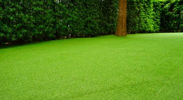Landscaping2