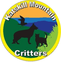 Katskill 
Mountain 
Critters