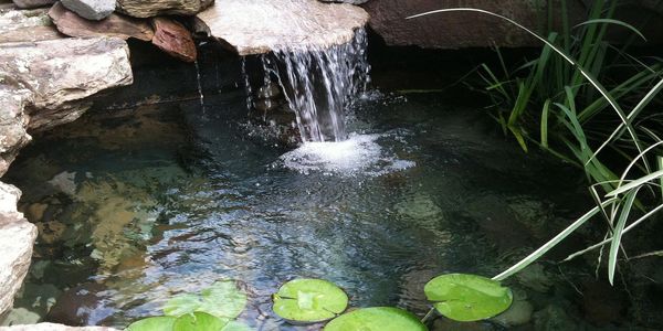 Pond Waterfall