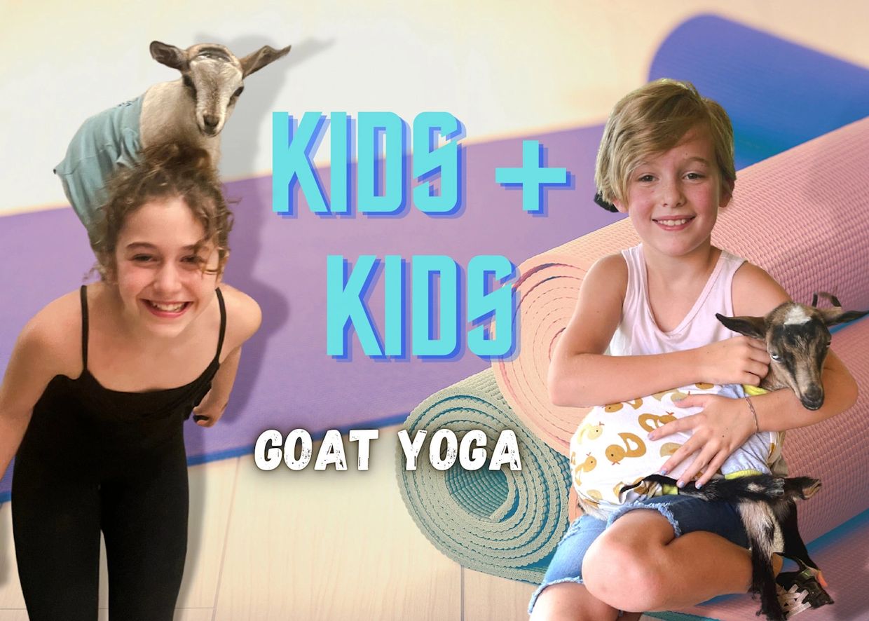 Goat Yoga Classes