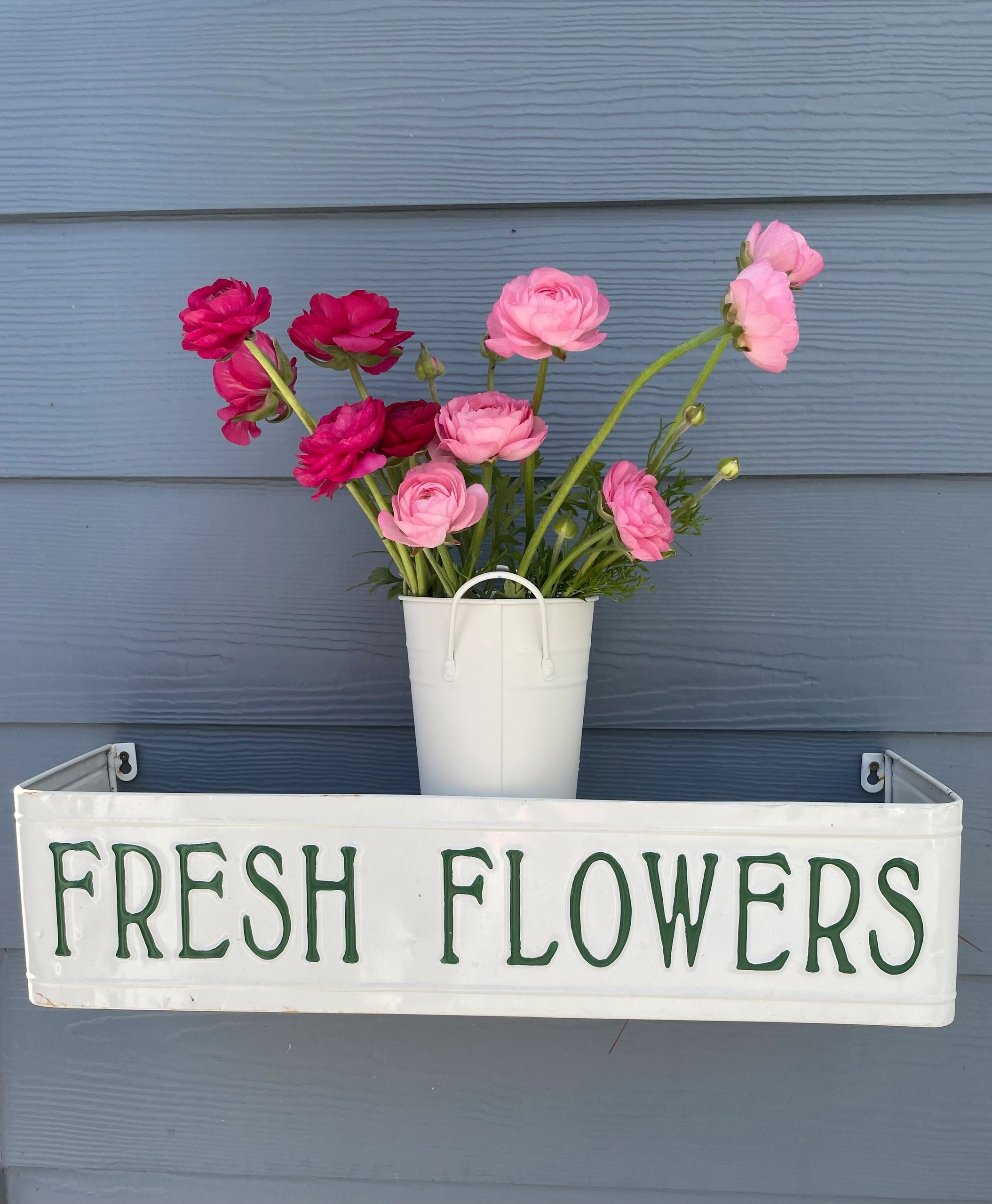 Spring is Springing