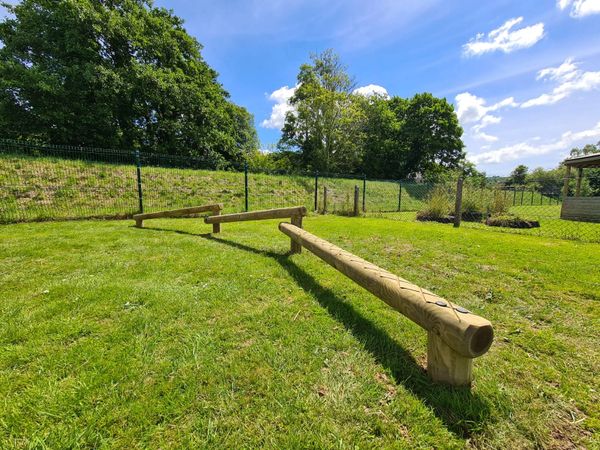 Playground equipment balance beam  challenge