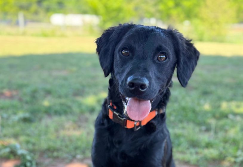 Learn more about me!
