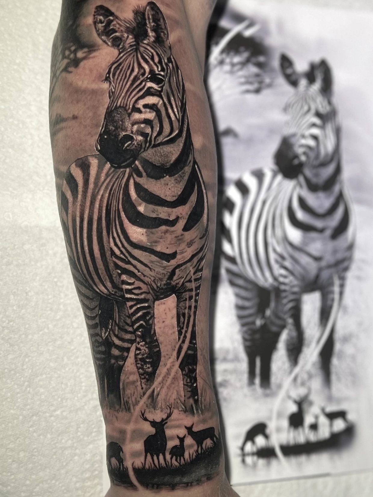 A custom black and grey realism Tattoo of a Zebra, with animal silhouettes in the foreground.