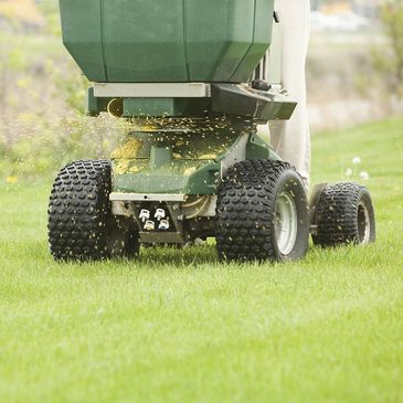 Weed control & Fertilization