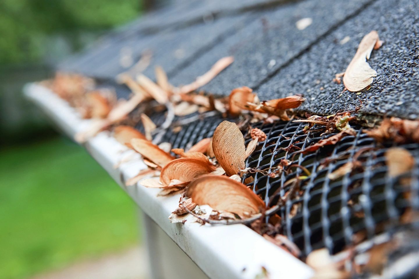 Cheap Gutter Protection Systems: Why They Fail