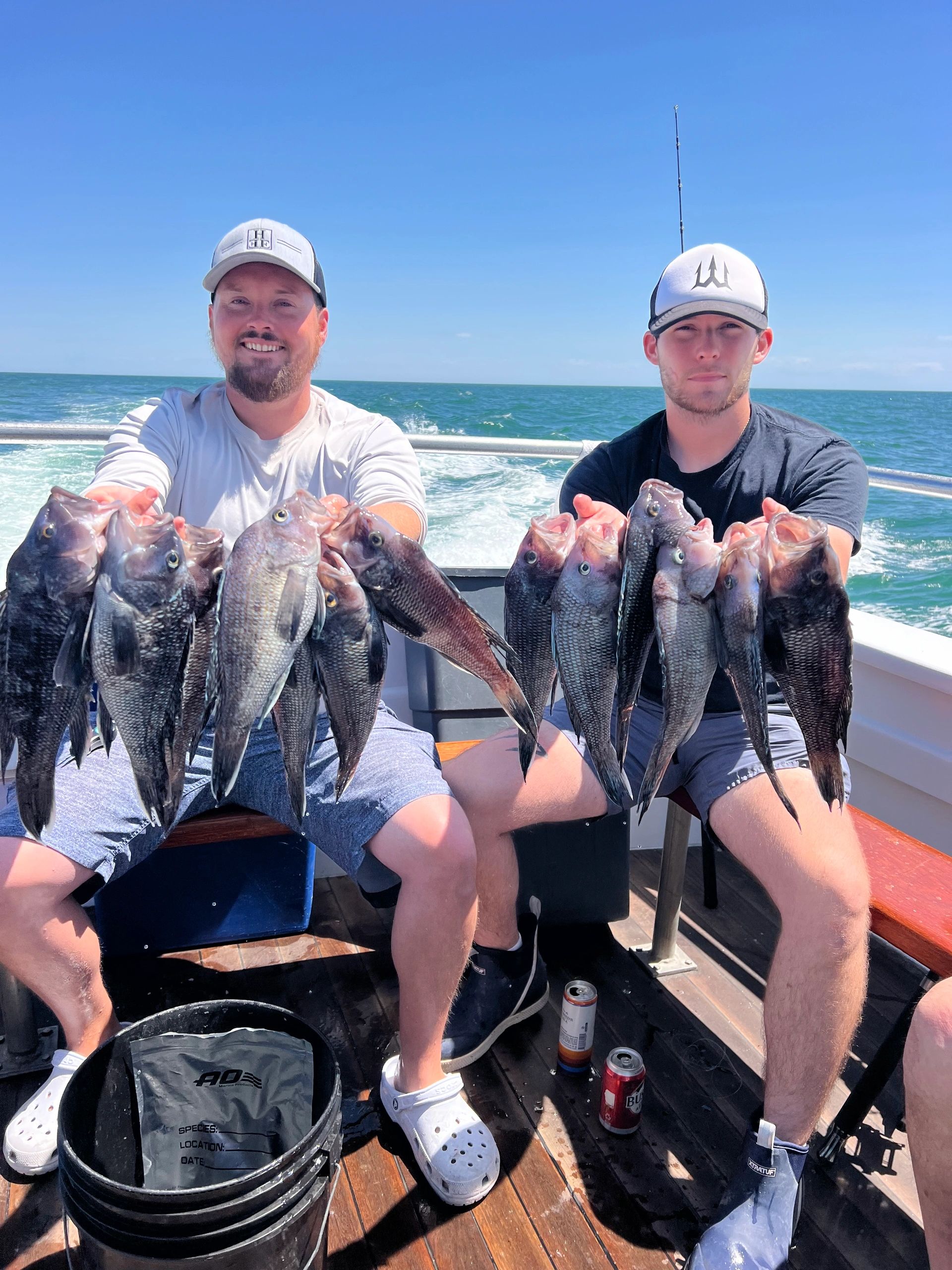 Michigan Online Casino No Deposit Bonuses & Promos for Feb. 2026 visual data 7