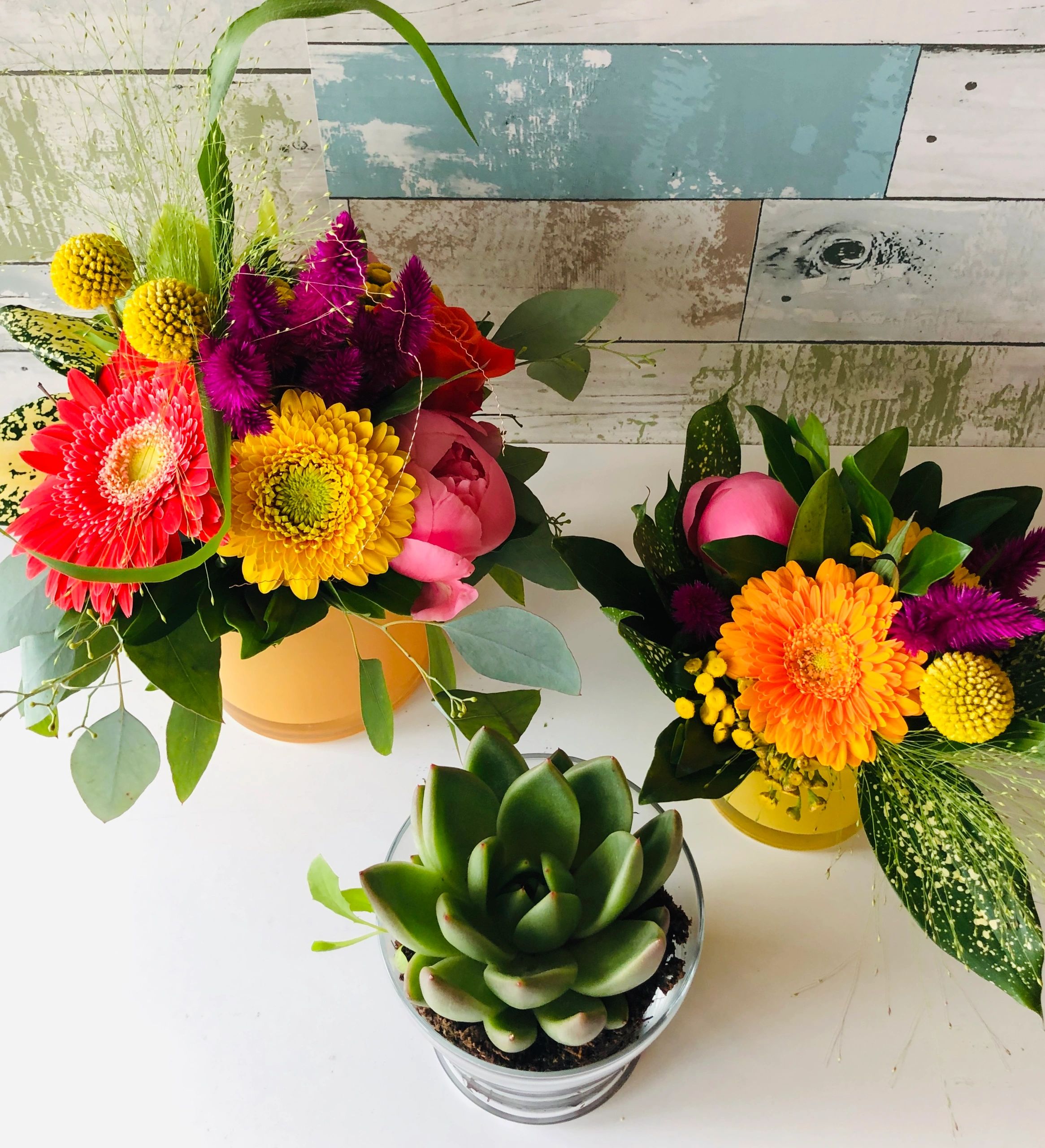 Flowers, Wedding Hypnotic Bloom Edmonton, Alberta