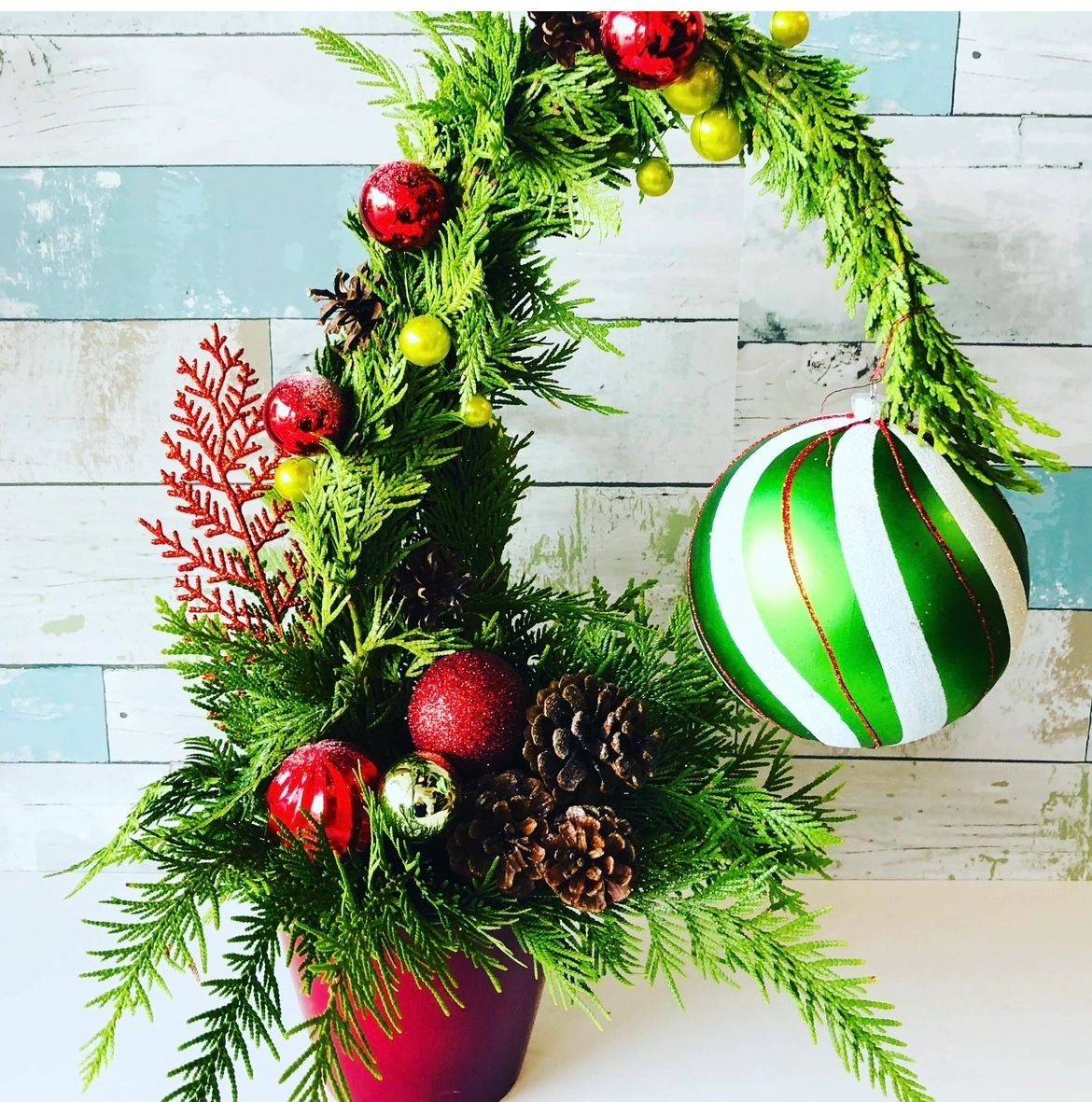 Flowers, Wedding Hypnotic Bloom Edmonton, Alberta