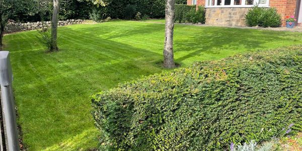 Regular lawn and garden maintenance service packages Leeds Garden Services