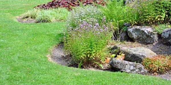 Clean garden boarders and weed control Leeds Garden Services