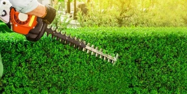 Hedge cutting and trimming Leeds Garden Services