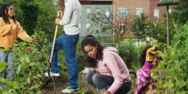 Planting together