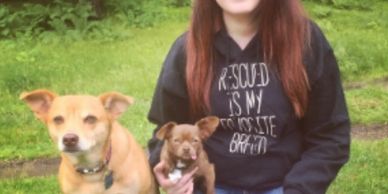 Two dogs and their owner posing for a photo