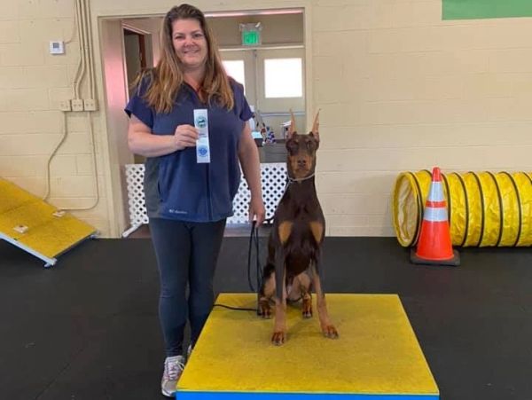 Woman with Doberman holding a ribbon at training center.
