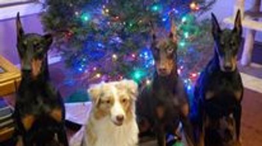 Tot, Maddie, Stassi and Allyah