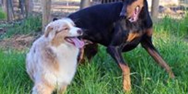 Maddie and Leilani, best friends
