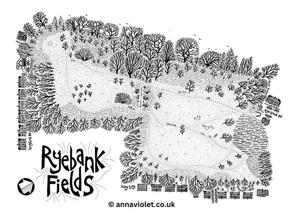 Black and white map illustration of Ryebank Fields with trees and buildings.