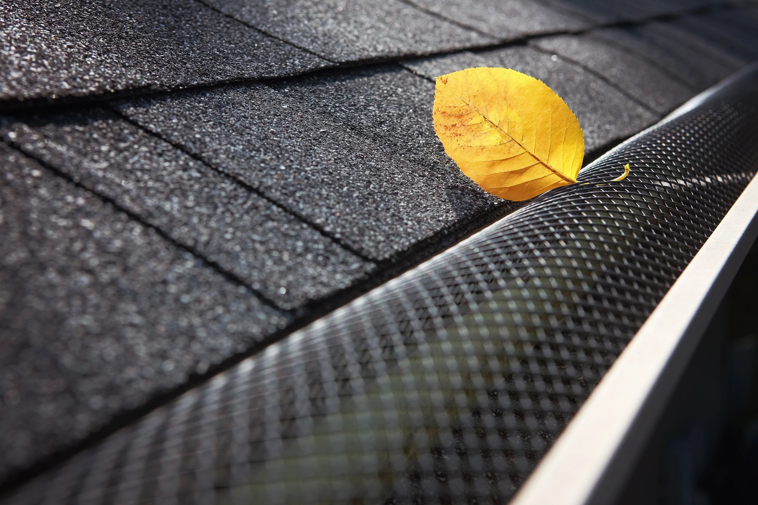 New gutter with screens on a residential roof