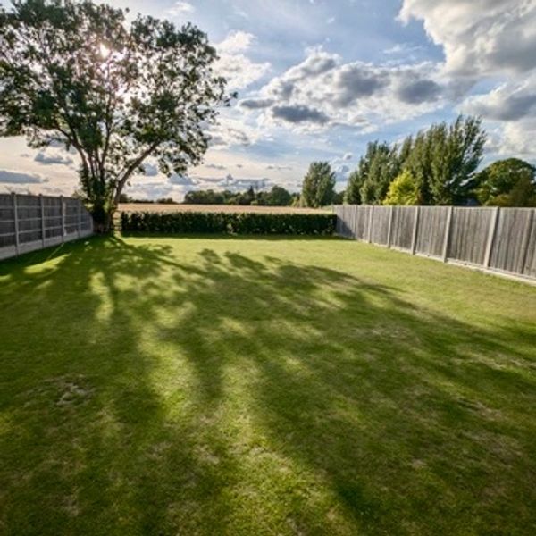 A large grassy backyard with a tree casting long shadows under a partly cloudy sky.