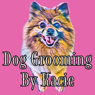 Dog Grooming by Kacie