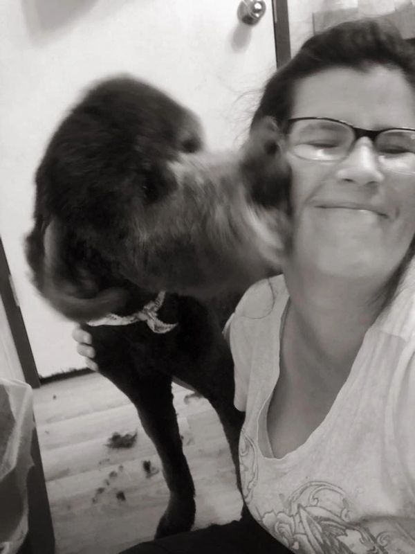 doodle gives Kacie love after a happy dog grooming session