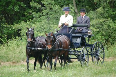 Two horses pulling a carriage with two people in formal attire.