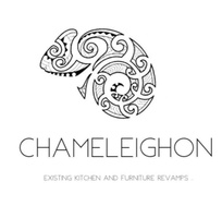 Chameleighon spray finishes