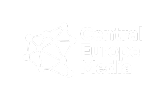 Central Europe Media