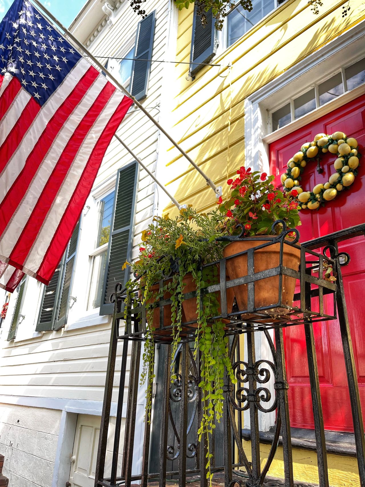 Avocado Food Hugger – Red Barn Mercantile - Old Town Alexandria