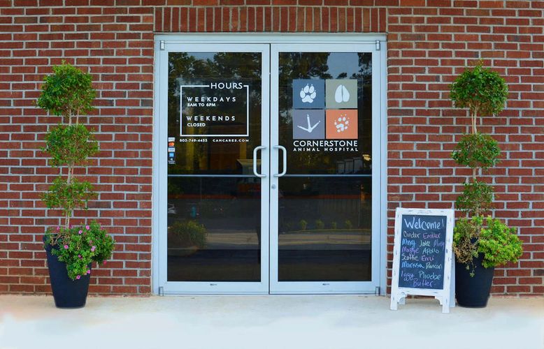 Front doors of a veterinary clinic.  The doors are flanked with flowers with a welcoming sign.