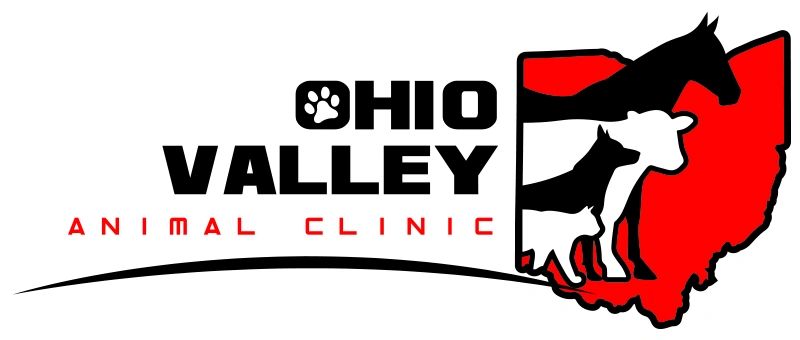 Ohio Valley Animal Clinic Veterinarian Vet Clinic