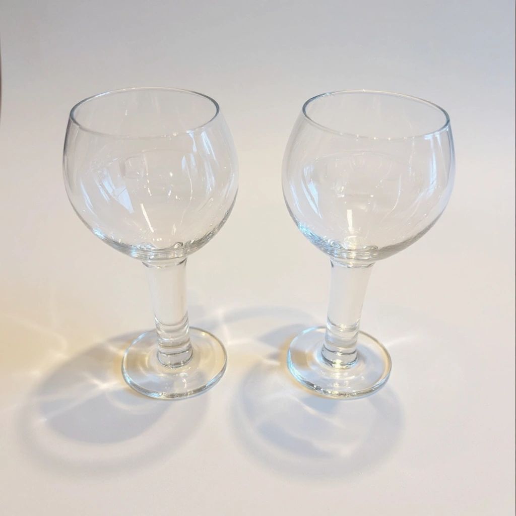 Crate & Barrel Inga Glasses – Set of 2