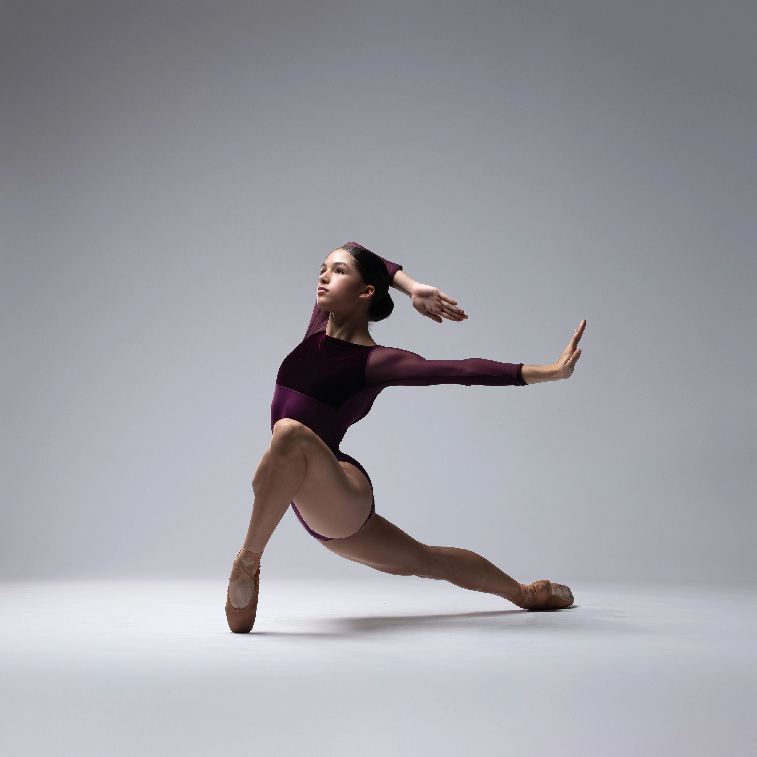 PROFESSIONAL DANCE