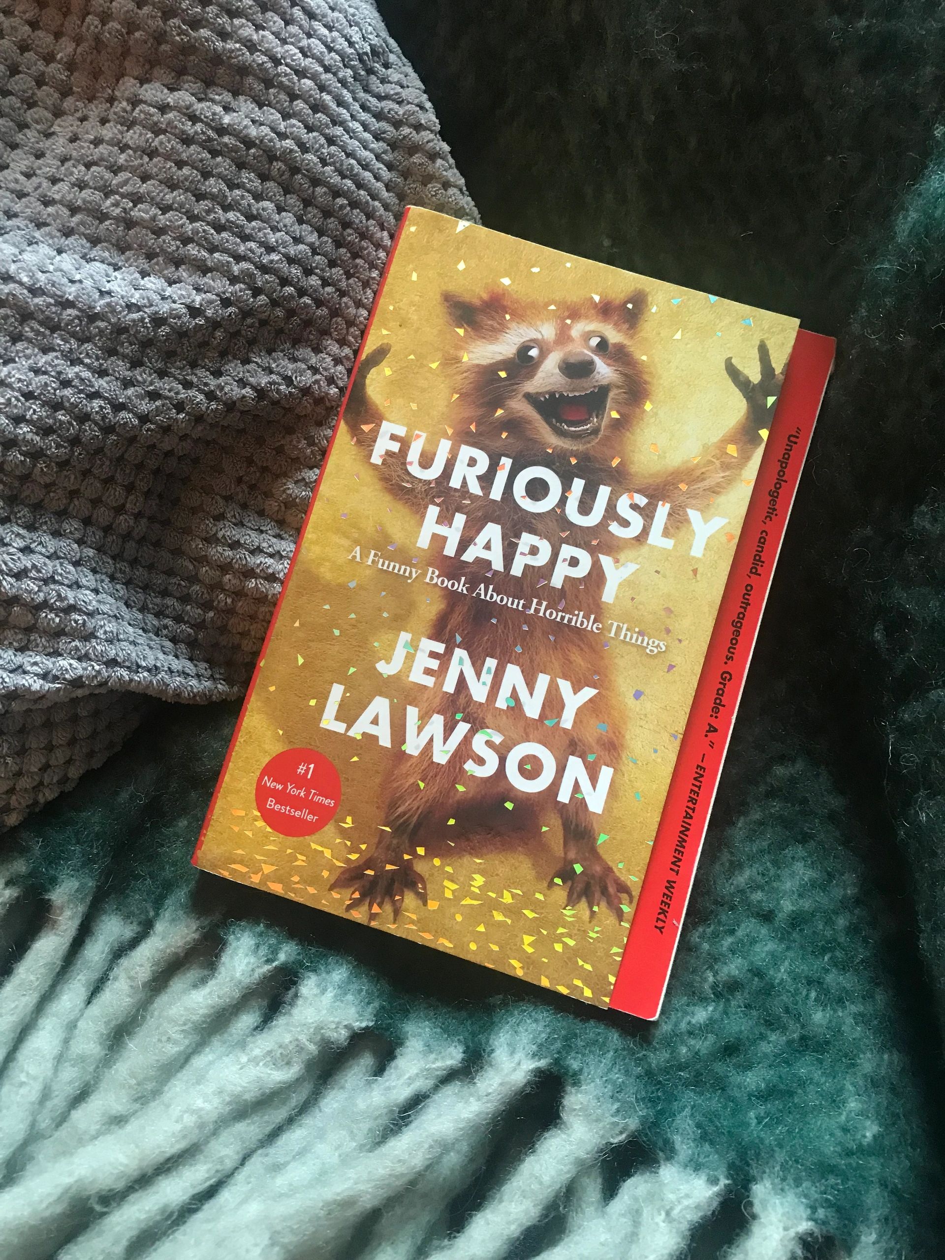  Furiously Happy: A Funny Book About Horrible Things