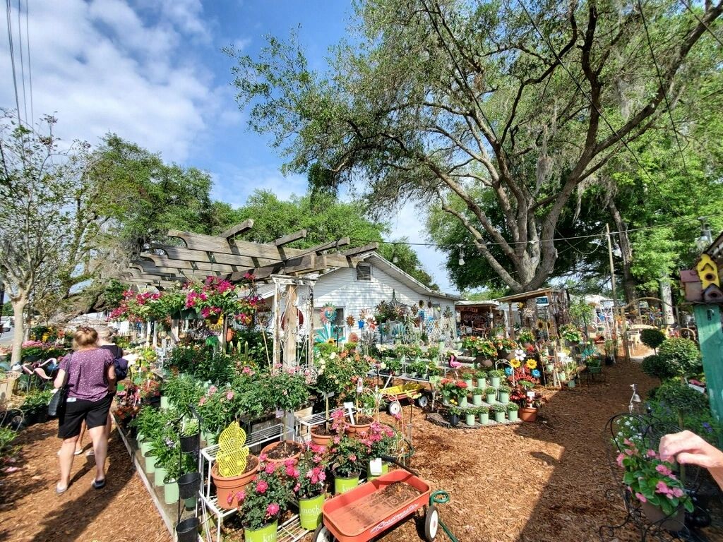 Cottage Garden Wildwood FL: Blending Wild Beauty in Your Landscape