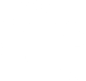 Georgia Dance Theatre