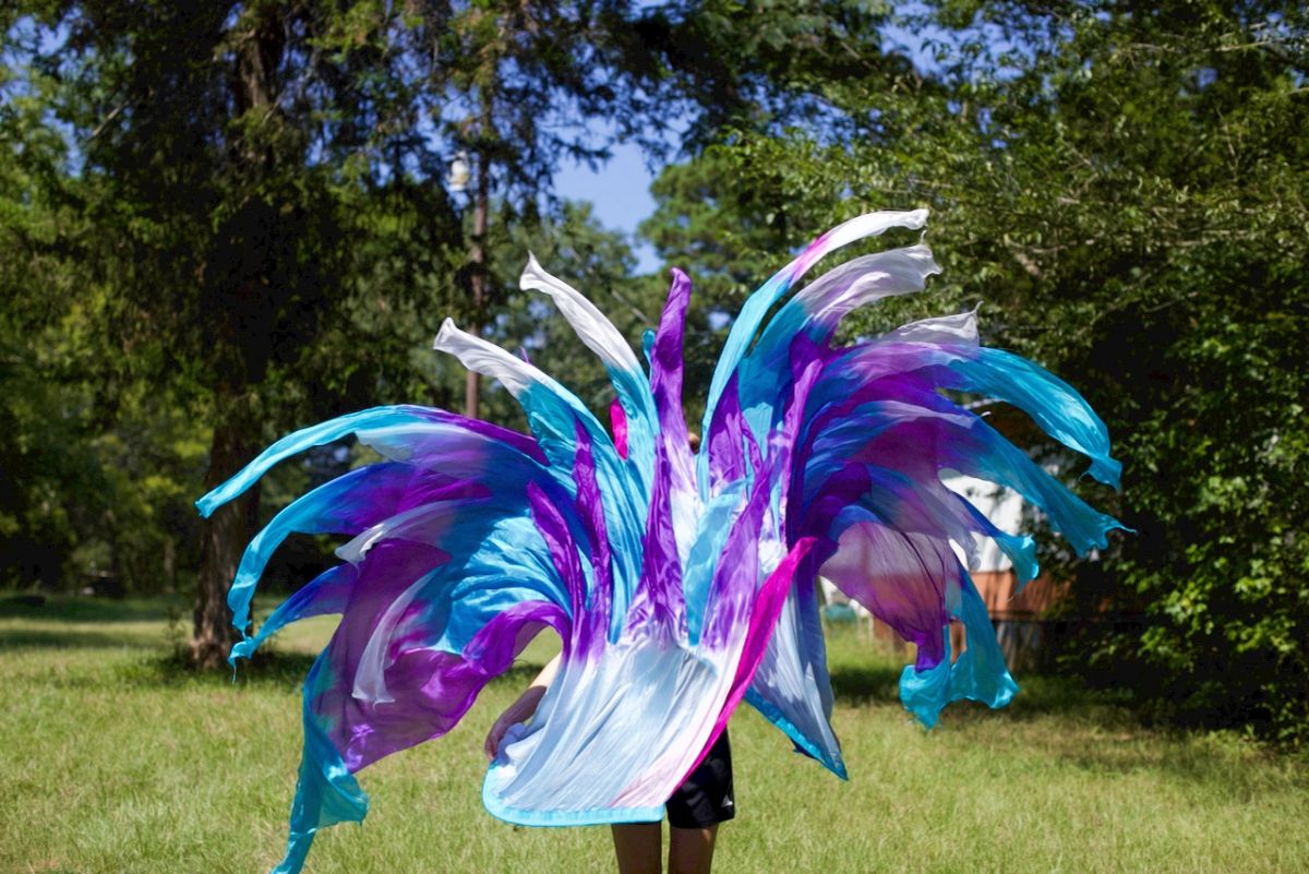 Flutter Flags™