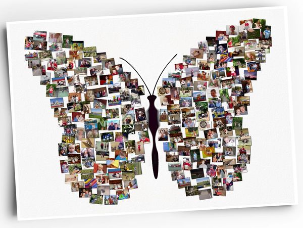 Turn Family Photos into a Butterfly... wall worthy photo collages with Photo Mosaics Australia 