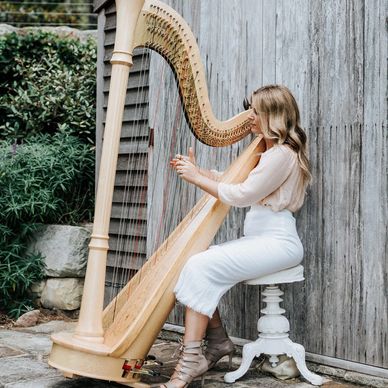 Palm beach harp ceremony cocktail hour guest entry bible gardens woman harpist Sydney NSW northern 