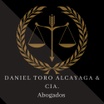 Daniel Toro Alcayaga