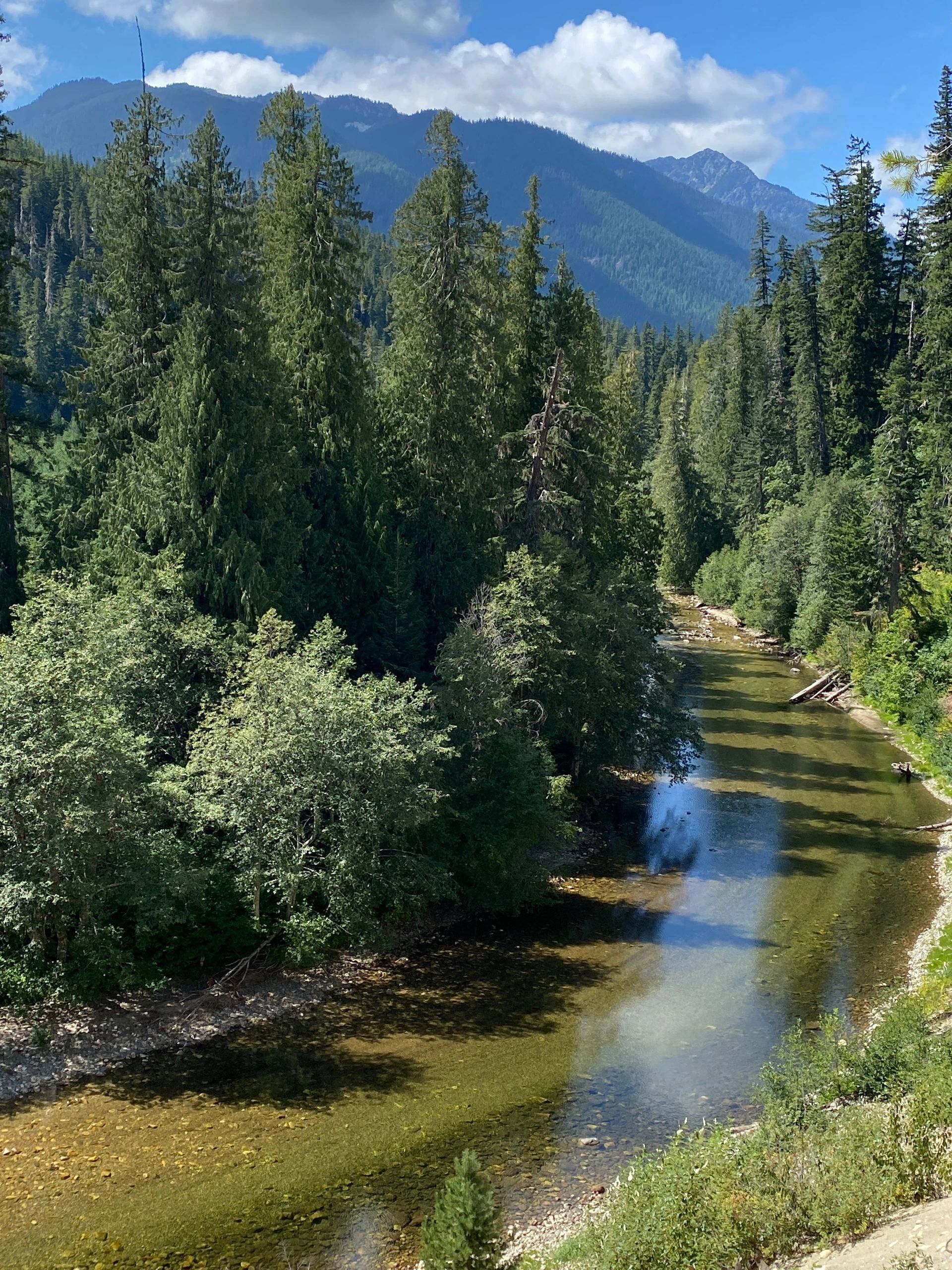 River flowing through mountain forest under blue sky.