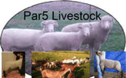 par5livestock