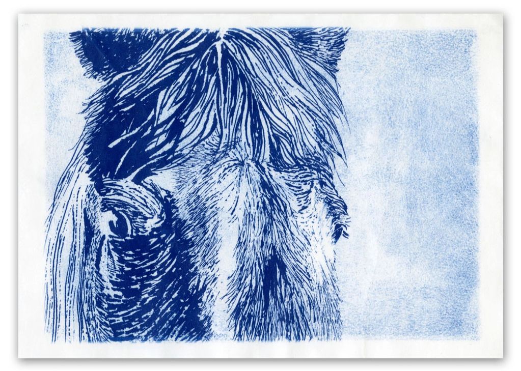 Blue sketch of a horse's face.