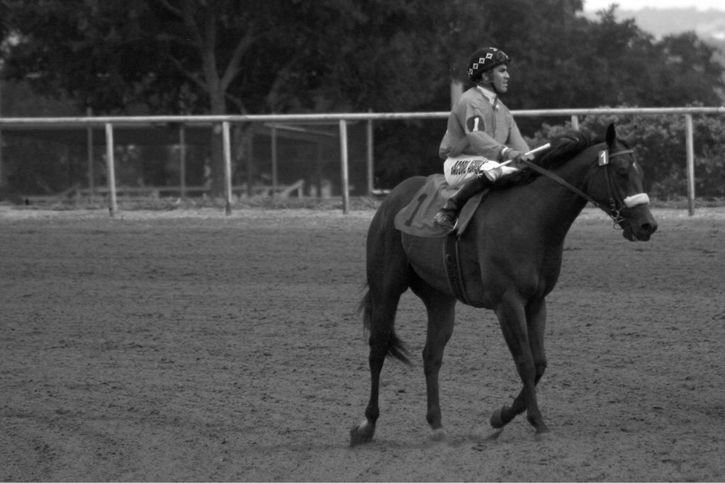Jockey riding a horse on a race track.
