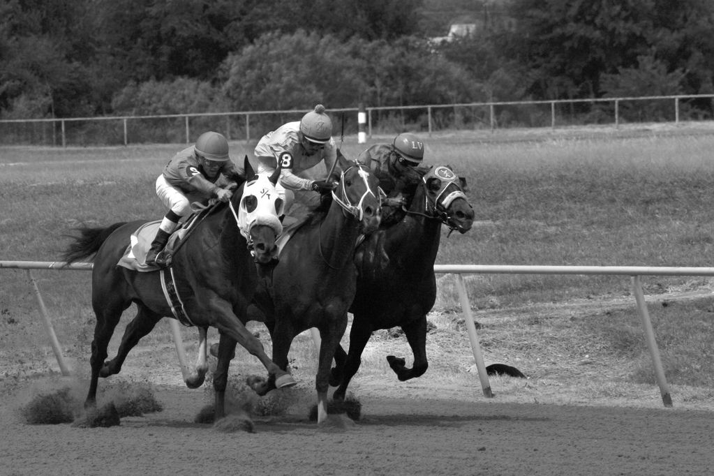 Three jockeys racing horses on a dirt track.