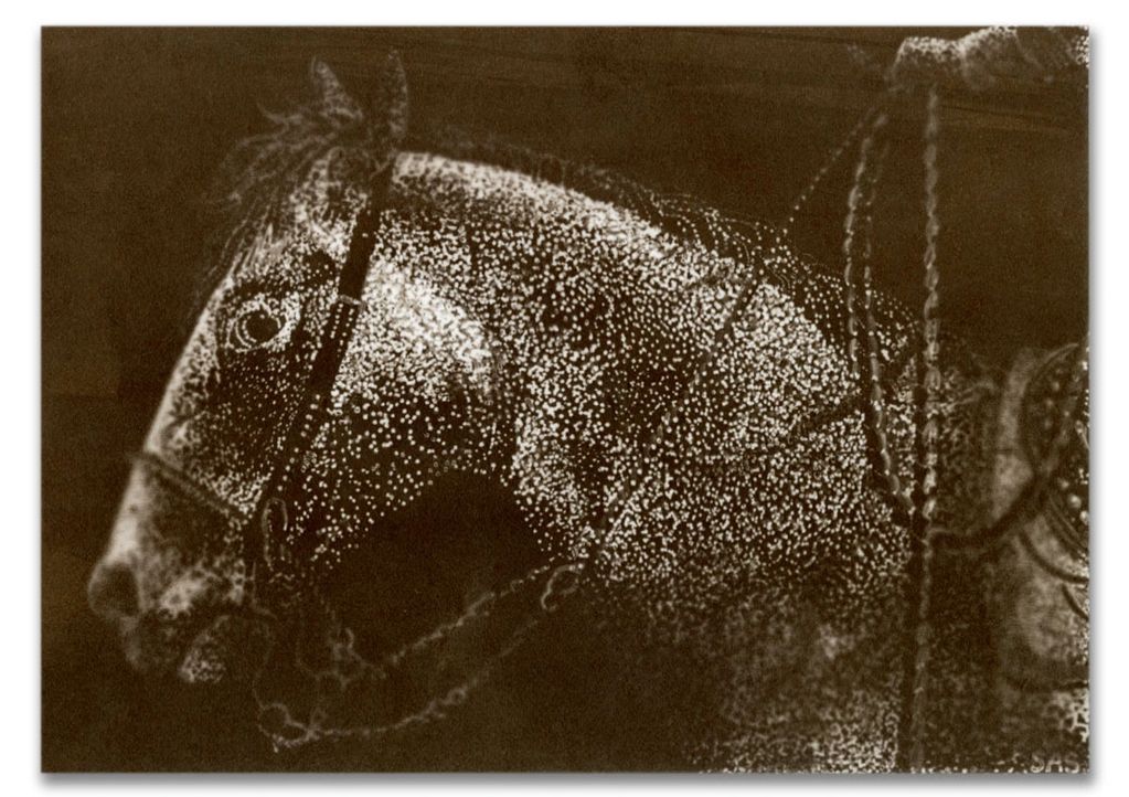 Artistic pointillism horse portrait.