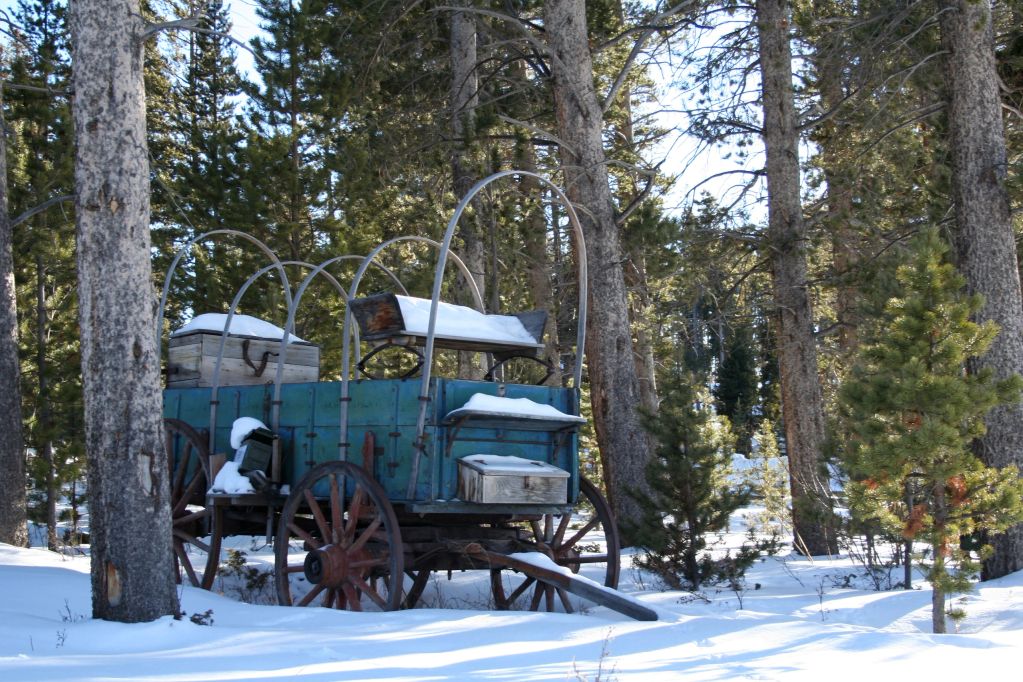 Snow-covered old wooden wagon in forest.