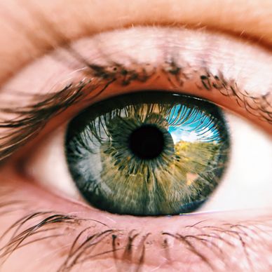 Close-up of a green eye reflecting a landscape.