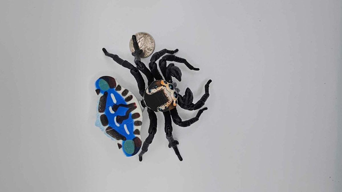 Jumping Spider Gachapon 1